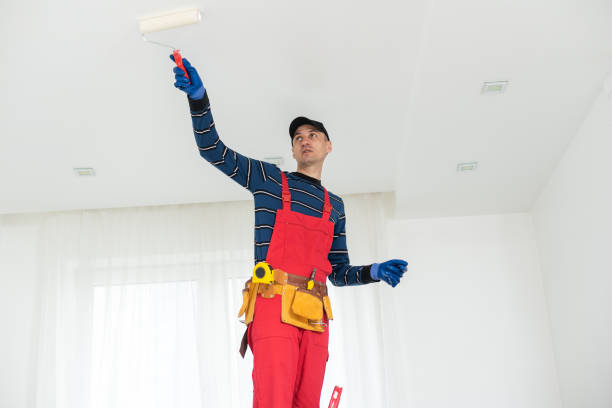 Best Residential Painting  in Evart, MI